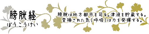 膀胱経　膀胱は地方都市を司る。津液を貯蔵する。変換された気（呼吸）は力を発揮する。