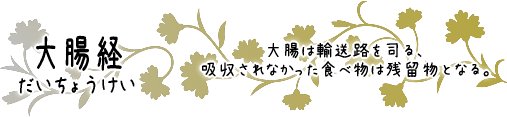 大腸経　大腸は輸送路を司る、吸収されなかった食べ物は残留物となる。