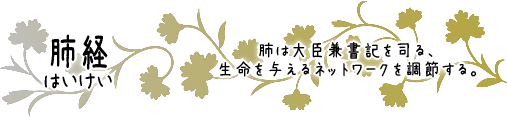 肺経　肺は大臣兼書記を司る、生命を与えるネットワークを調節する。