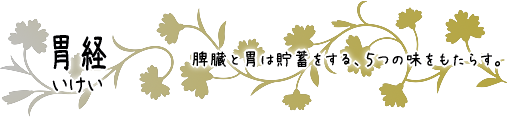 胃経　脾臓と胃は貯蓄をする、５つの味をもたらす。