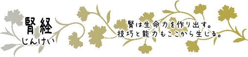 腎経　腎は生命力を作り出す。技巧と能力もここから生じる。