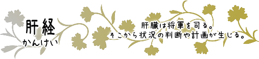 肝経　肝臓は将軍を司る。そこから状況の判断や計画が生じる。