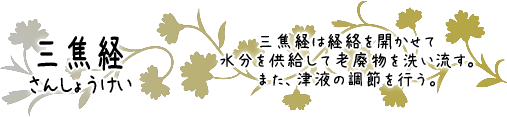 三焦経　三焦経は経絡を開かせて水分を供給して老廃物を洗い流す。また、津液の調節を行う。
