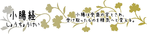 小腸経　小腸は受盛の官とされ、受け取ったものを精気へと変える。