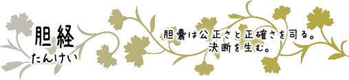 胆経　胆嚢は公正さと正確さを司る。決断を生む。